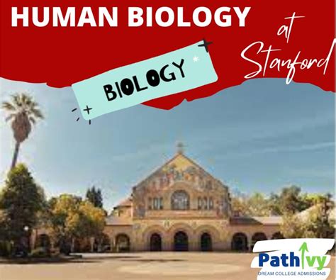 Welcome to the <b>Biology</b> Department! Our community is devoted to discovering fundamental knowledge of the living world: from the behavior of single molecules to dynamics of cells, organisms, populations, and interactions of biological systems with our planet. . Stanford human biology